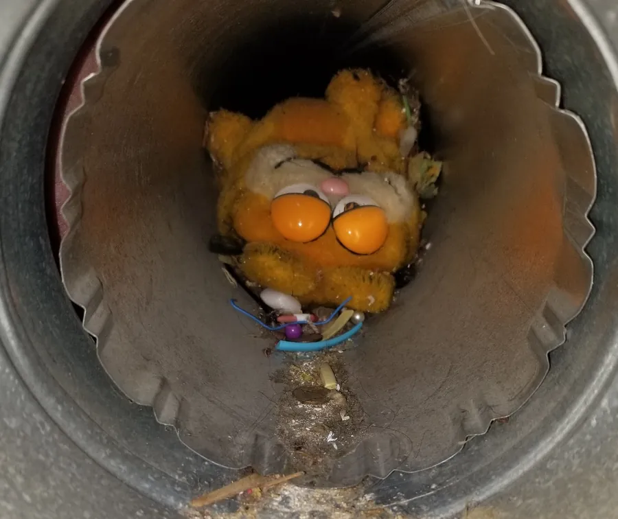 A cat found inside a duct